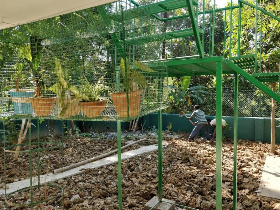 Bhitey Homestay Simantapally / Shantiniketan Shānti Niketan Exterior foto